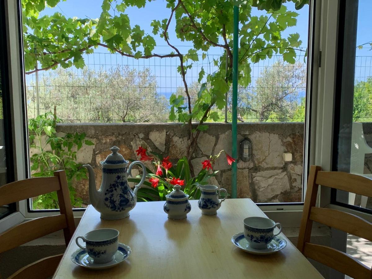 Apartments Mirian Petrovac Dış mekan fotoğraf