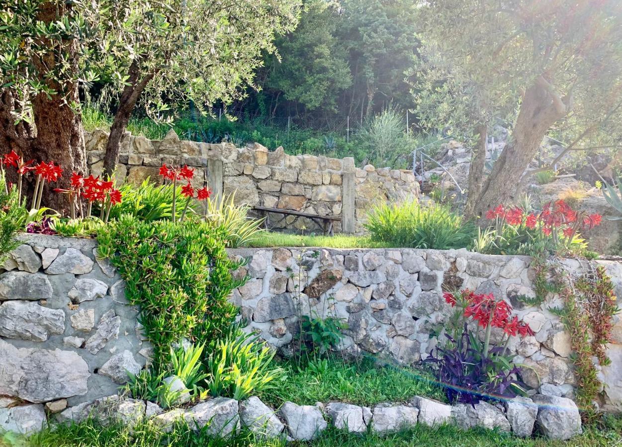 Apartments Mirian Petrovac Dış mekan fotoğraf