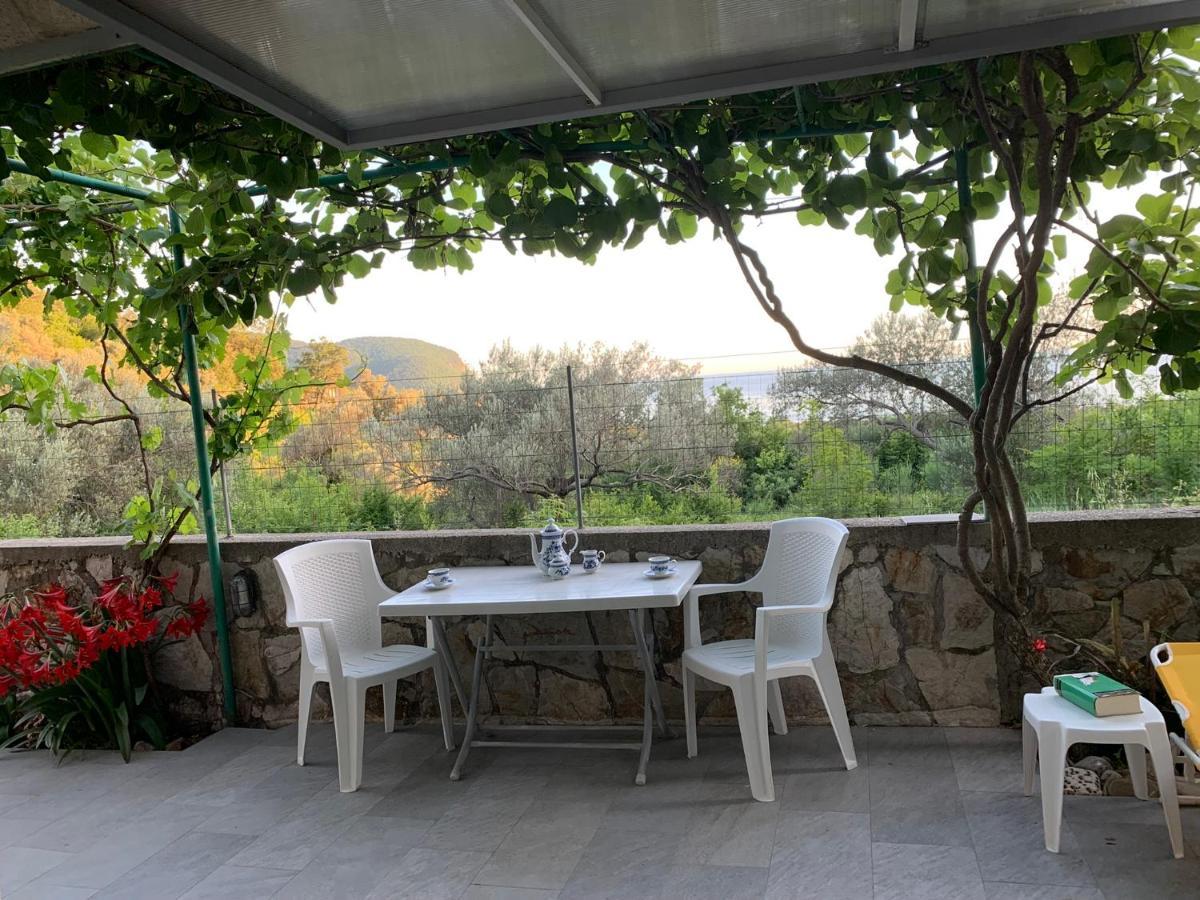Apartments Mirian Petrovac Dış mekan fotoğraf