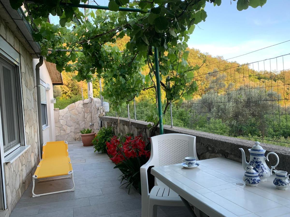 Apartments Mirian Petrovac Dış mekan fotoğraf