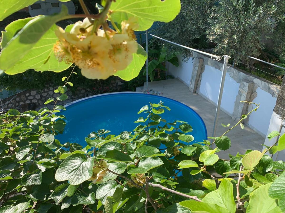 Apartments Mirian Petrovac Dış mekan fotoğraf