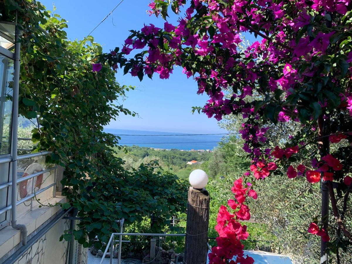 Apartments Mirian Petrovac Dış mekan fotoğraf