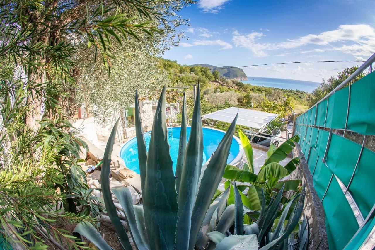Apartments Mirian Petrovac Dış mekan fotoğraf