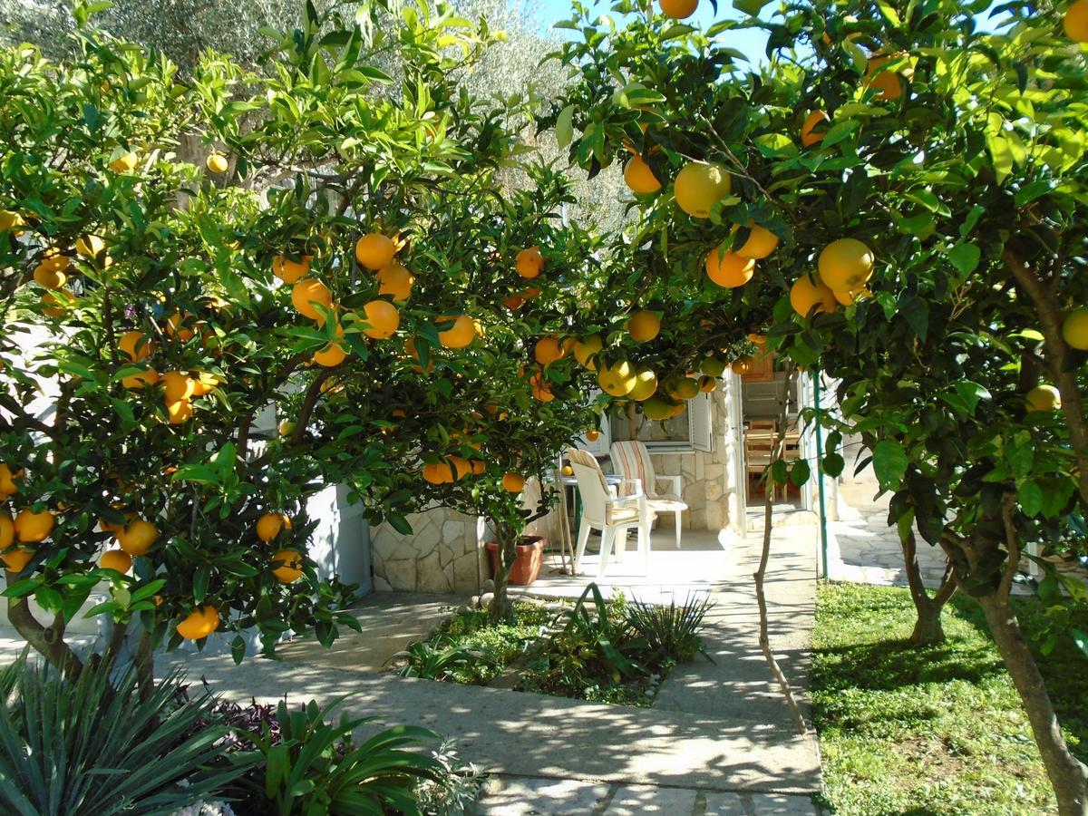 Apartments Mirian Petrovac Dış mekan fotoğraf